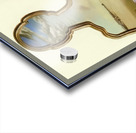 Salvador Dalí 24 Acrylic print