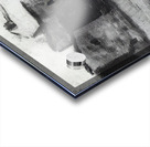 Salvador Dalí 28 Acrylic print