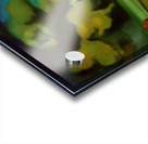 Salvador Dalí 29 Acrylic print