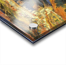 Salvador Dalí 34 Acrylic print