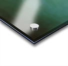 Salvador Dalí 37 Acrylic print