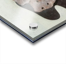 Salvador Dalí 44 Acrylic print