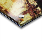 Salvador Dalí 47 Acrylic print