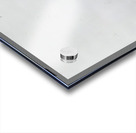 Salvador Dalí 48 Acrylic print