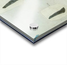 Salvador Dalí 49 Acrylic print