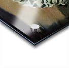 Salvador Dalí 1 Acrylic print