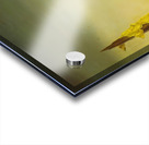 Salvador Dalí 6 Acrylic print