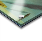 Salvador Dalí 9 Acrylic print