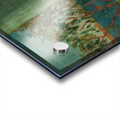 Salvador Dalí 12 Acrylic print