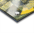 Salvador Dalí 14 Acrylic print