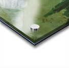 Salvador Dalí 25 Acrylic print