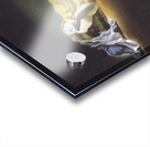 Salvador Dalí 27 Acrylic print