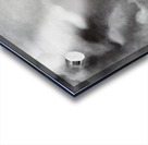 Salvador Dalí 44 Acrylic print