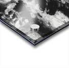 Salvador Dalí 49 Acrylic print