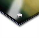 Salvador Dalí 51 Acrylic print