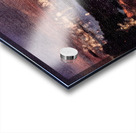 Salvador Dalí 53 Acrylic print