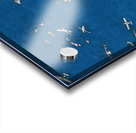 Roy Lichtenstein 45 Acrylic print