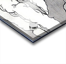 Roy Lichtenstein 47 Acrylic print