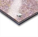 Mark Tobey 9 Acrylic print