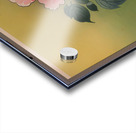 suchiya Koitsu 2 Acrylic print