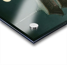 suchiya Koitsu 3 Acrylic print