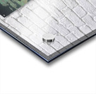 suchiya Koitsu 6 Acrylic print