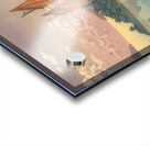 suchiya Koitsu 7 Acrylic print