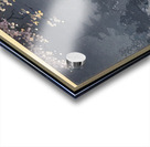 suchiya Koitsu 11 Acrylic print