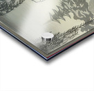 suchiya Koitsu 12 Acrylic print