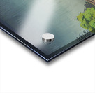 suchiya Koitsu 13 Acrylic print