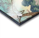 suchiya Koitsu 21 Acrylic print