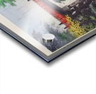 suchiya Koitsu 33 Acrylic print