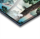 suchiya Koitsu 45 Acrylic print