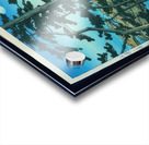 suchiya Koitsu 5 Acrylic print