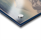 suchiya Koitsu 9 Acrylic print