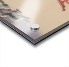 suchiya Koitsu 19 Acrylic print