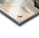 suchiya Koitsu 31 Acrylic print