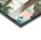 suchiya Koitsu 35 Acrylic print