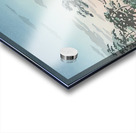 suchiya Koitsu 36 Acrylic print