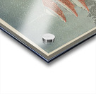 suchiya Koitsu 41 Acrylic print