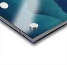 suchiya Koitsu 44 Acrylic print