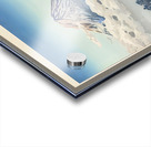 suchiya Koitsu 2 Acrylic print