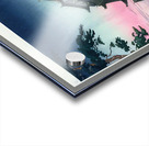 suchiya Koitsu 6 Acrylic print