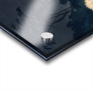 suchiya Koitsu 9 Acrylic print