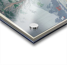 suchiya Koitsu 11 Acrylic print