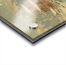 suchiya Koitsu 12 Acrylic print