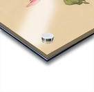 suchiya Koitsu 20 Acrylic print