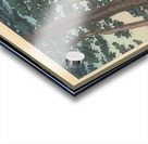 suchiya Koitsu 21 Acrylic print