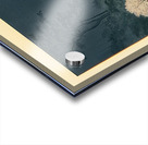 suchiya Koitsu 25 Acrylic print