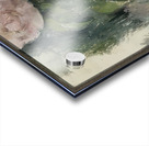 Paul Cézanne 14 Acrylic print